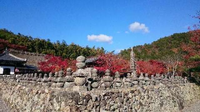 京都府京都市右京区嵯峨鳥居本化野町17 華西山 東漸院 念仏寺(化野念仏寺)の写真2