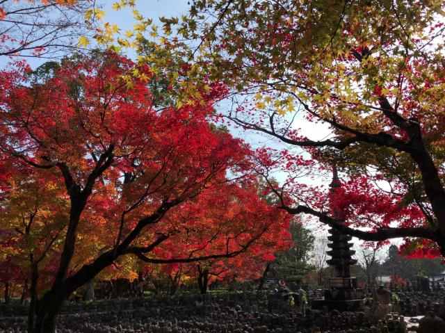 京都府京都市右京区嵯峨鳥居本化野町17 華西山 東漸院 念仏寺(化野念仏寺)の写真3
