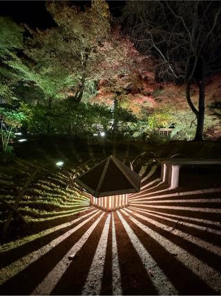 宝厳院の参拝記録(いけさん)