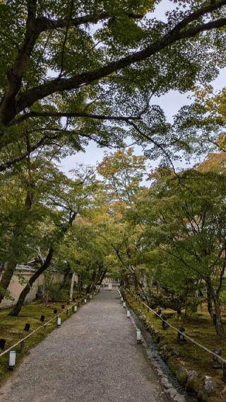 宝厳院の参拝記録(あきおさん)