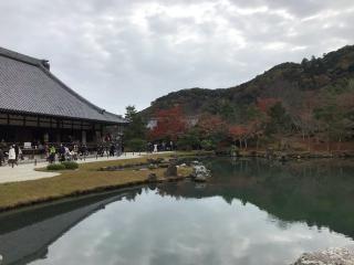 霊亀山 天龍資聖禅寺(天龍寺)の参拝記録(ロカさん)