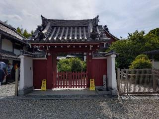 法然寺の参拝記録(ペドロ蟲さん)