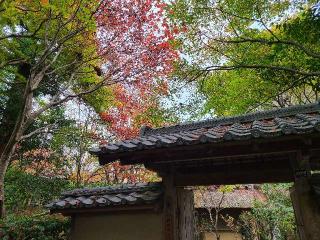 厭離庵の参拝記録(longironさん)