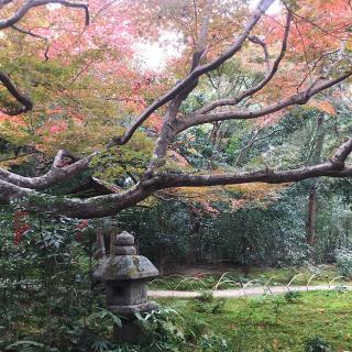 厭離庵の参拝記録(ワヲンさん)