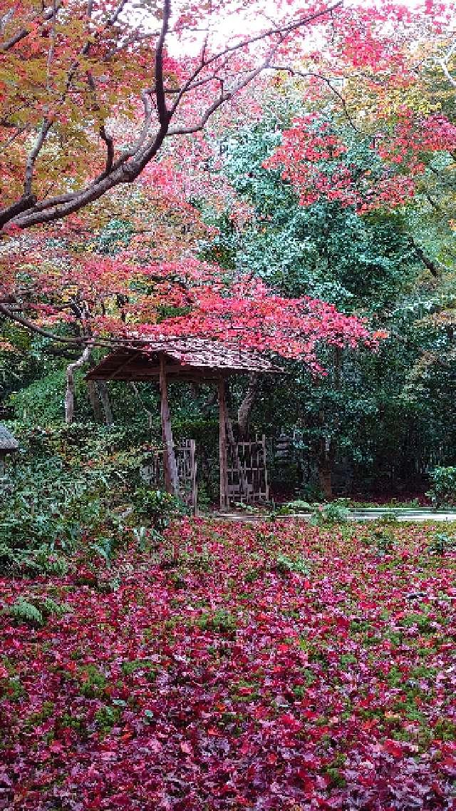 厭離庵の参拝記録7