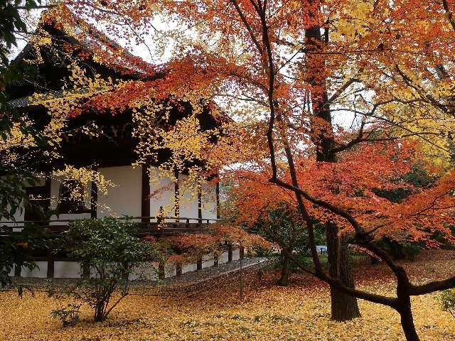 広隆寺の参拝記録10