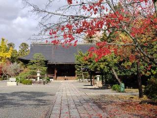 広隆寺の参拝記録(naniさん)