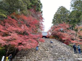 神護寺の参拝記録(ルルさん)