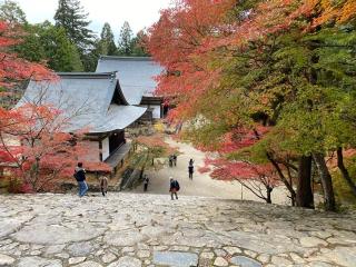 神護寺の参拝記録(ルルさん)