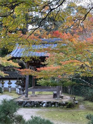 槙尾山 西明寺の参拝記録(ヒデさん)
