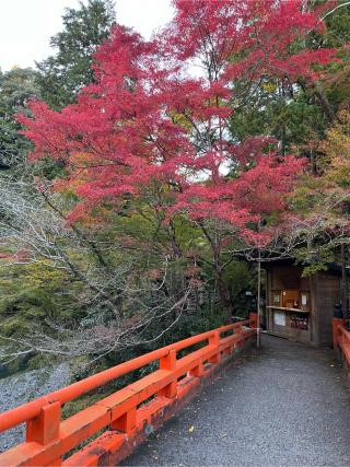 槙尾山 西明寺の参拝記録(ヒデさん)