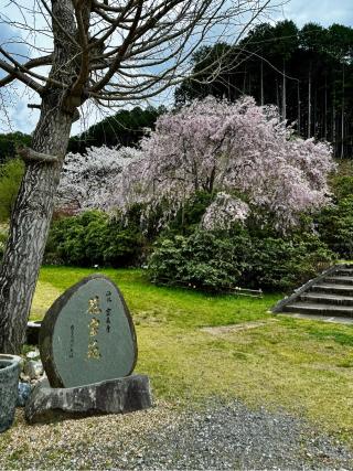 宝泉寺（ほうせんじ）の参拝記録(さくらさん)