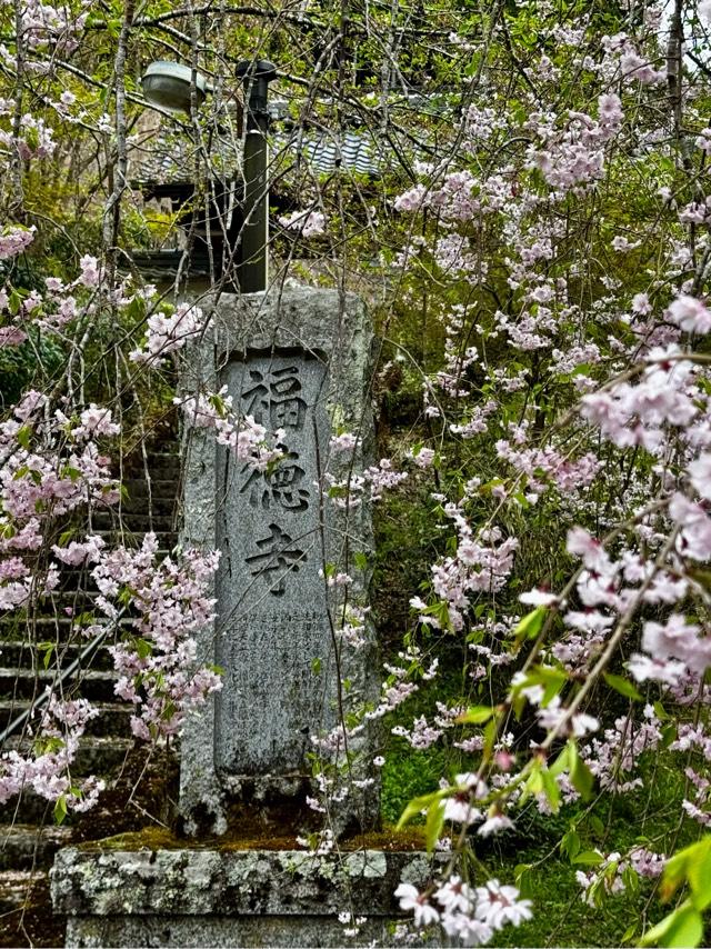 福徳寺の参拝記録1