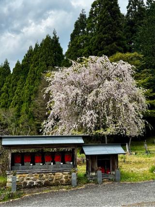 福徳寺の参拝記録(さくらさん)