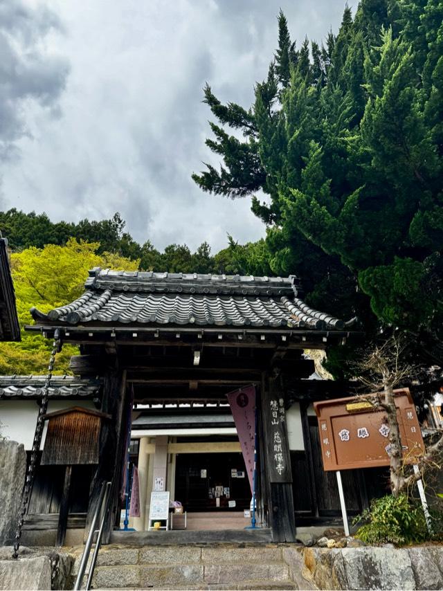 慈眼寺の写真1