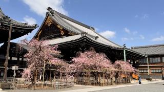 渋谷山(汁谷山) 華園院 佛光寺の参拝記録(いのっちさん)