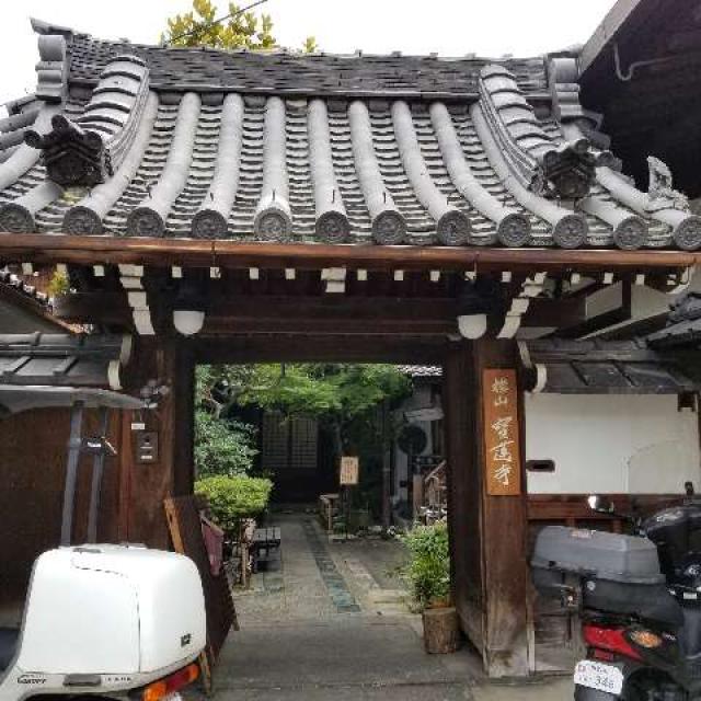 宝蓮寺の参拝記録3