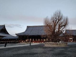 龍谷山 本願寺(西本願寺)の参拝記録(ぼーいさん)