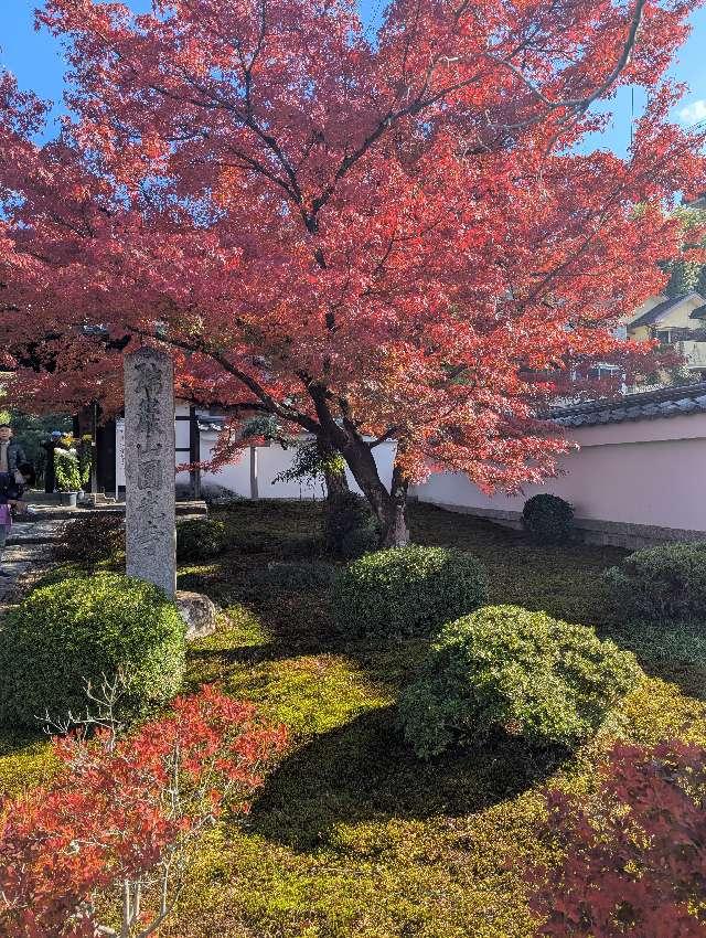 圓光寺の参拝記録4