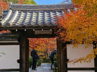 圓光寺の参拝記録(くまたろうさん)