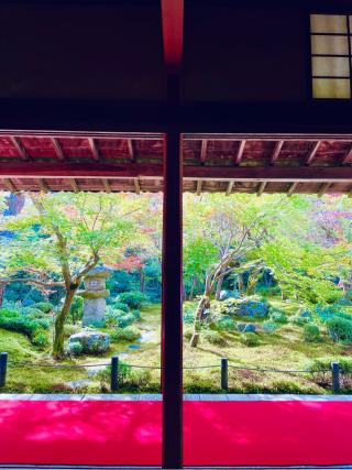 圓光寺の参拝記録(ふうりんパパさん)