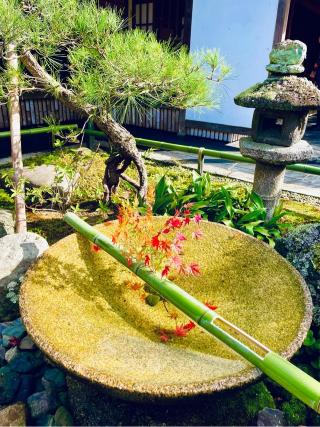 圓光寺の参拝記録(ふうりんパパさん)