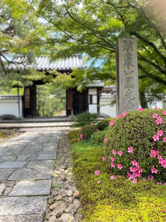 圓光寺の参拝記録5
