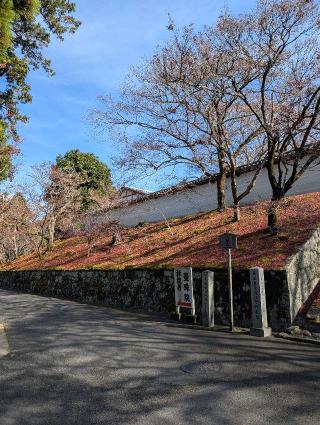 曼殊院の参拝記録(うえはらさん)