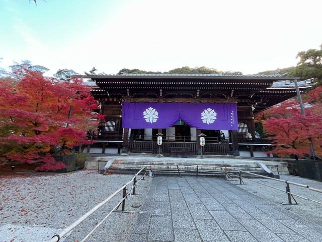 聖衆來迎山 無量壽院 禪林寺(永観堂)の参拝記録1