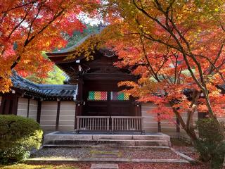 聖衆來迎山 無量壽院 禪林寺(永観堂)の参拝記録(ヒデさん)