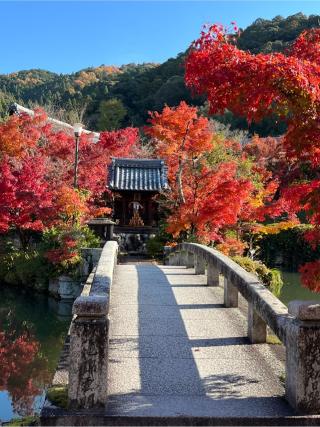 聖衆來迎山 無量壽院 禪林寺(永観堂)の参拝記録(ヒデさん)