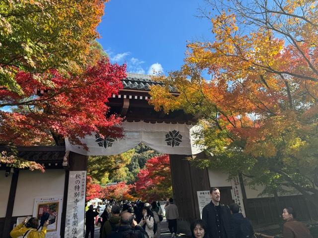 聖衆來迎山 無量壽院 禪林寺(永観堂)の参拝記録10