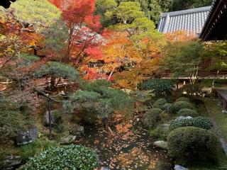 聖衆來迎山 無量壽院 禪林寺(永観堂)の参拝記録(たかひろさん)