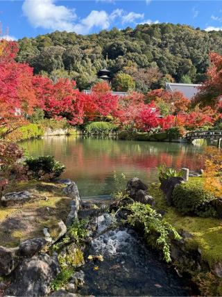 聖衆來迎山 無量壽院 禪林寺(永観堂)の参拝記録(たかひろさん)