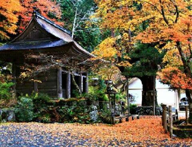 京都府京都市左京区花背原地町772 峰定寺の写真2