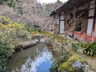 実相院の参拝記録(くまたろうさん)