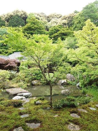 実相院の参拝記録(気分は上昇さん)