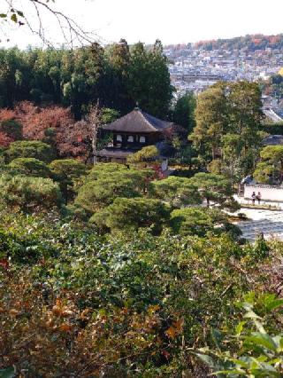 東山 慈照禅寺(銀閣寺)の参拝記録(くろろさん)