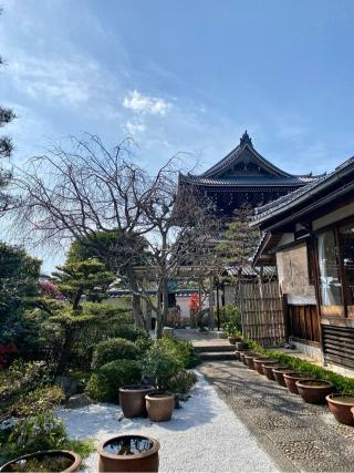常光院の参拝記録(さくらさん)