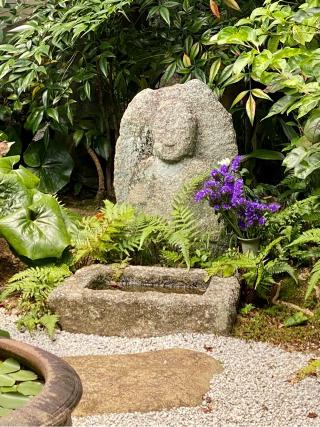 常光院の参拝記録(さくらさん)