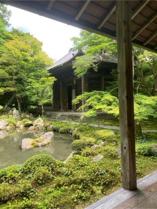 蓮華寺(洛北蓮華寺)の参拝記録(フタバアオイさん)
