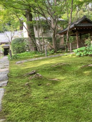 蓮華寺(洛北蓮華寺)の参拝記録(フタバアオイさん)