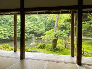 蓮華寺(洛北蓮華寺)の参拝記録(Lippyさん)