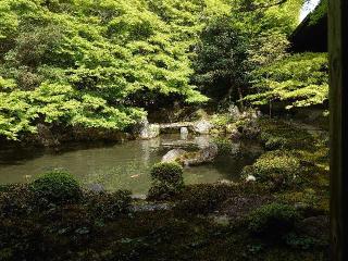 蓮華寺(洛北蓮華寺)の参拝記録(captainさん)