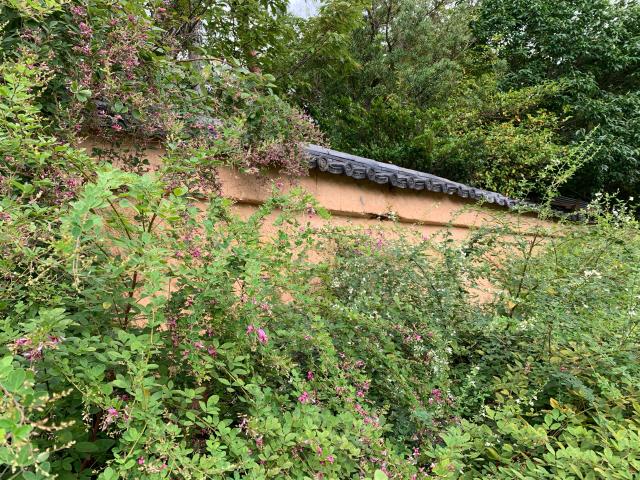 迎称寺の参拝記録5