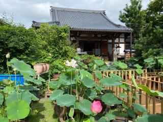 大蓮寺の参拝記録(あきちゃんさん)