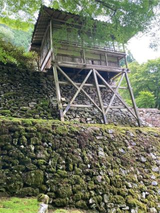 阿弥陀寺の参拝記録(フタバアオイさん)