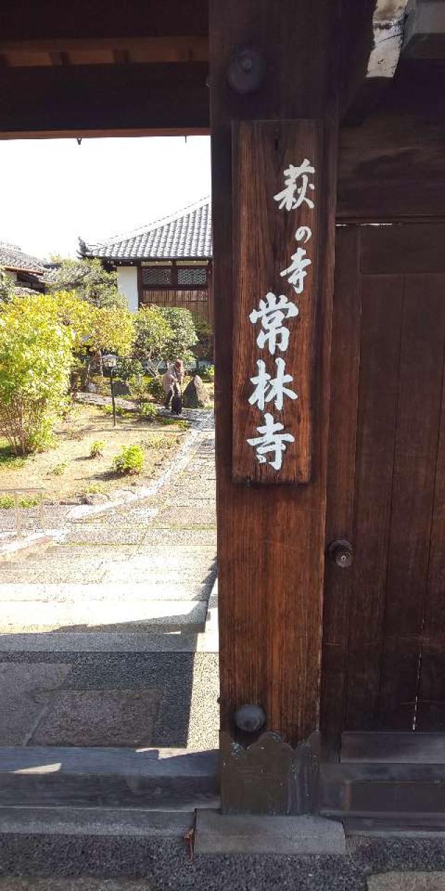 光明山 摂取院 常林寺の参拝記録7
