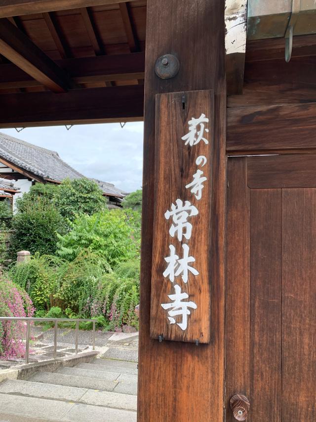 光明山 摂取院 常林寺の参拝記録4