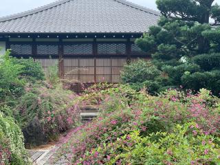 光明山 摂取院 常林寺の参拝記録(まりもさん)